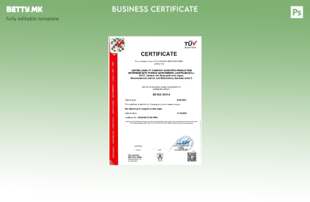 модерен стил Австрија TUV сертификат за регистрација Шаблон за Word и PDF